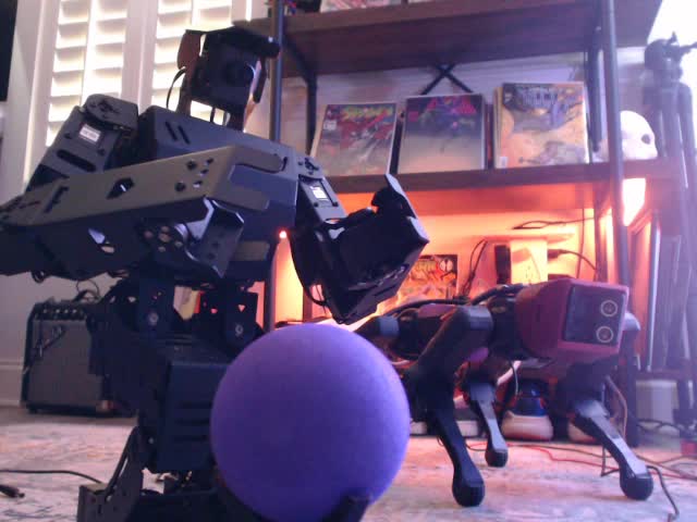 The AiNex humanoid crouched and leaning forward, reaching both arms down toward a purple ball on the floor
