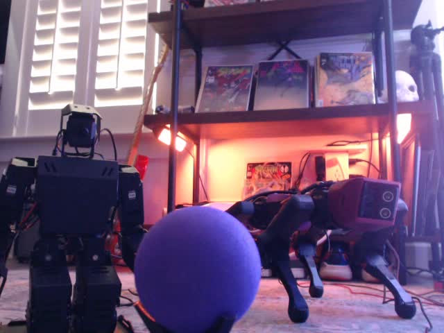 The AiNex humanoid on the left, the purple ball in the foreground, and the SpotMicro quadruped robot on the right in a home workshop