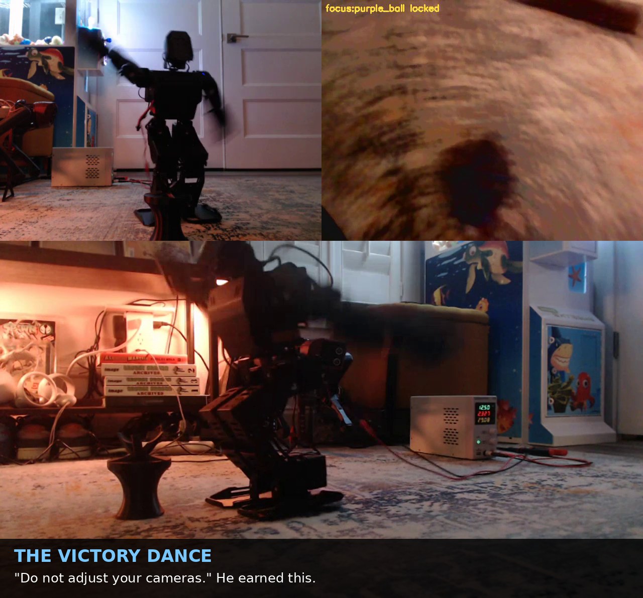 AiNex mid victory dance