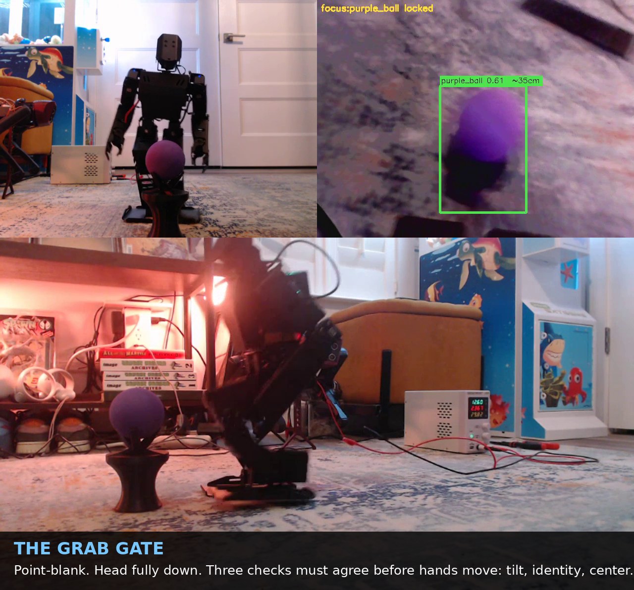 The grab gate: point-blank eye view of the ball with detection overlay